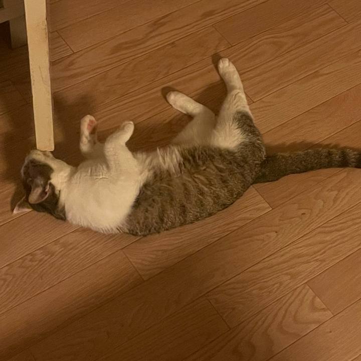 7b35c655 e553 432a b30f aebd00c06e02 1626294336031