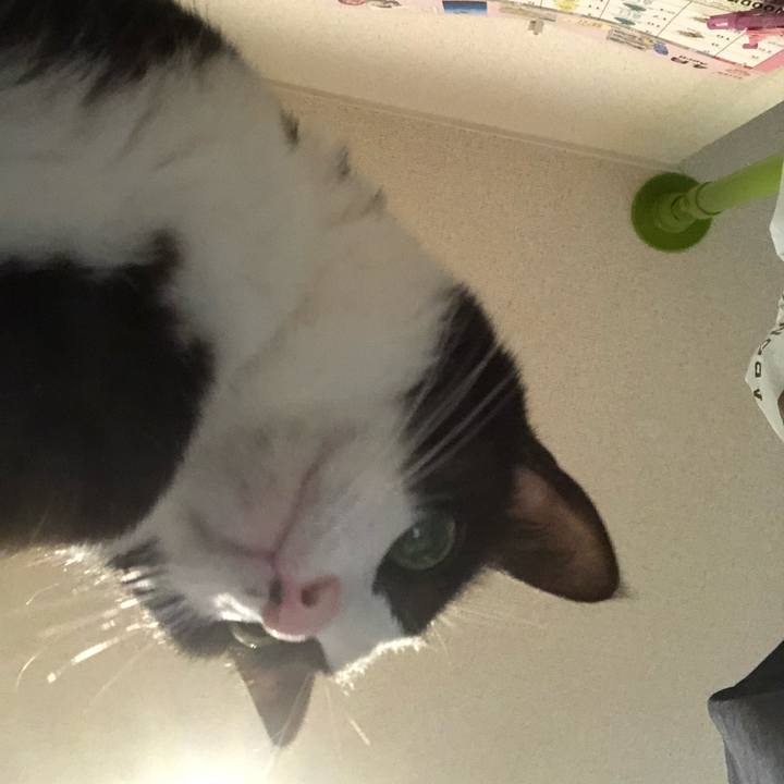 7b35eec5 c4c1 48b3 9917 e25f217f851c 1524401438610