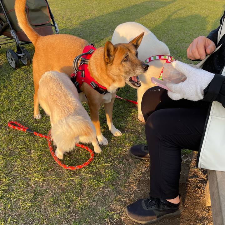 7b35f5ce 5a7a 4f7c 93a5 1c634ede7bd7 1648567603662