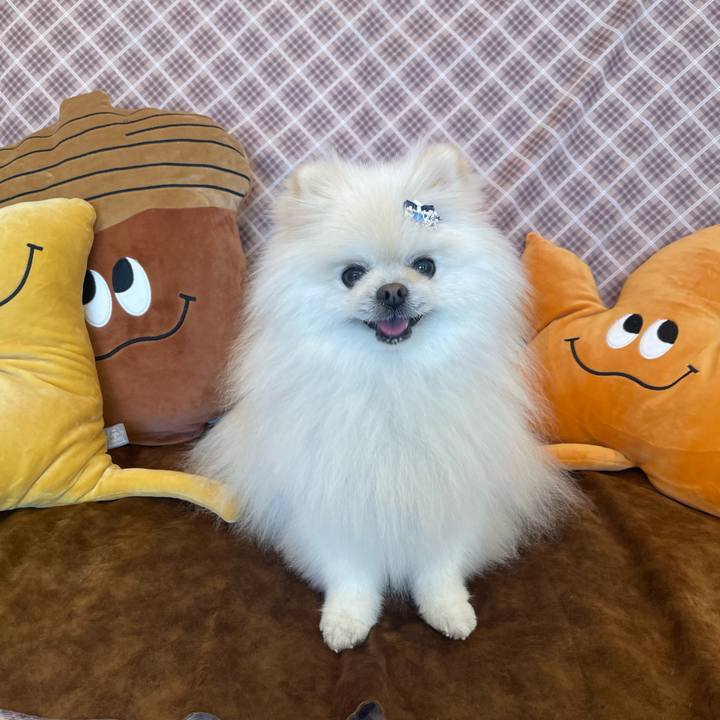 7b35f8ac 7f61 47bd b589 f3c971bba49b 1668178512452