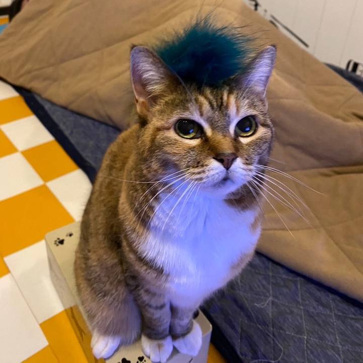 7b36500b 0ba3 48fe a903 fbdceeaaedf9 1713772159073