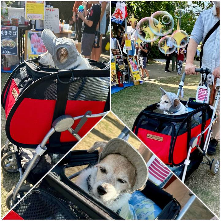 7b3668bc d2fa 4d30 9d3c 1d441aed70be 1758967830269