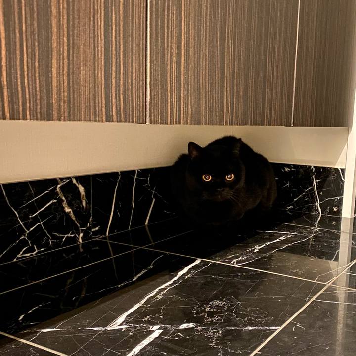 7b3684ff 812f 42d6 89ae 90e7172105fd 1706439279658