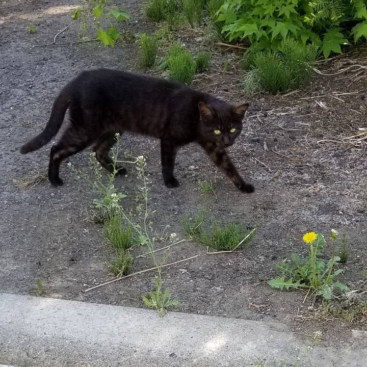 7b36cee0 8ee2 402c b955 ef5544c3271f 1558917146991