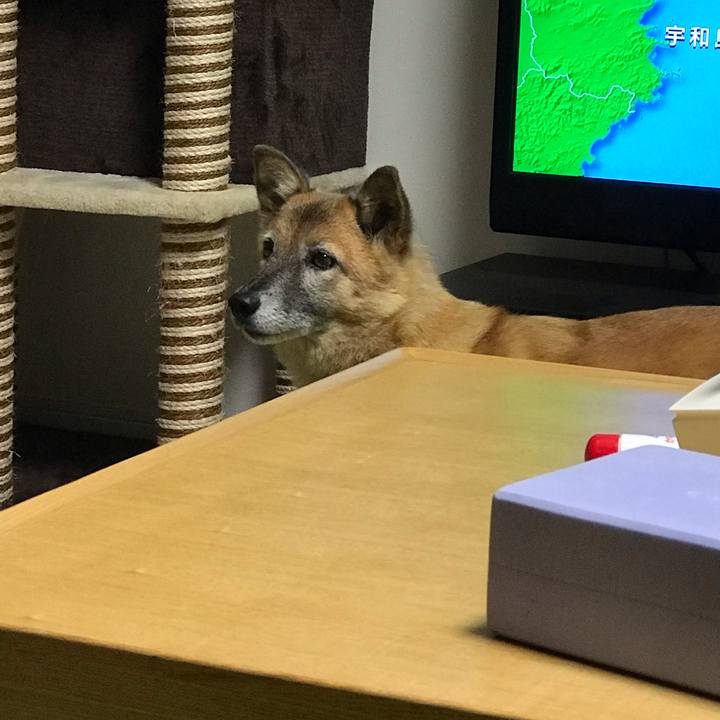 7b36e216 3000 458b 8539 46802de988b0 1541056519779