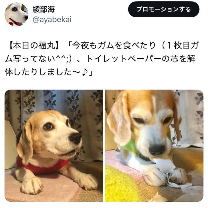 7b373143 65c1 4dfe 9e3c c962b9aa763e 1735185679827