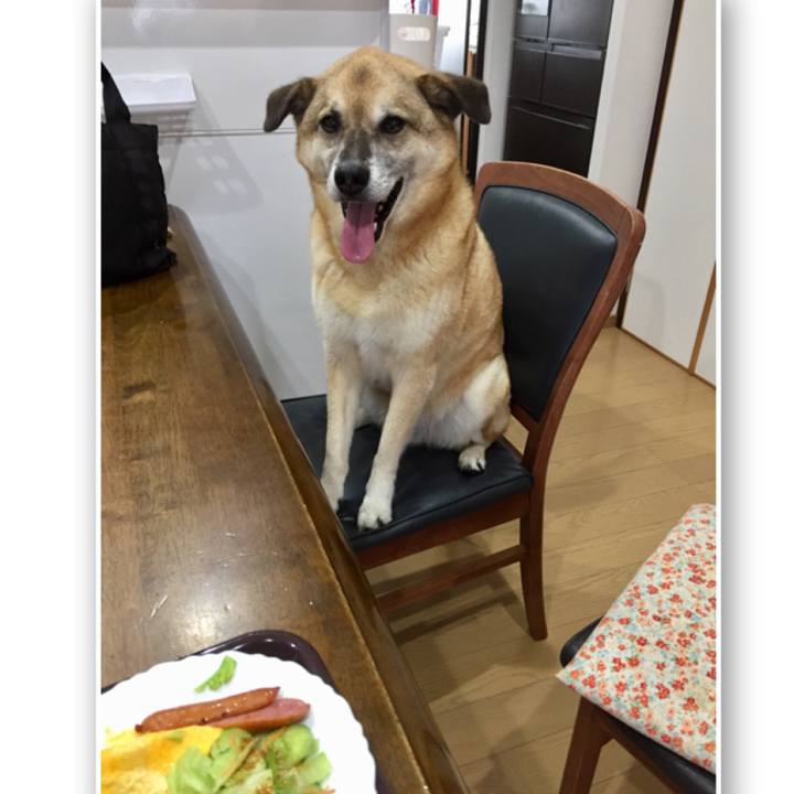 7b373c6c 058e 4fbe 9c25 6291f8f3834e 1562541799720