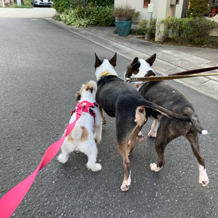 7b37795f 0b61 45dd bf6d daf6952fdde0 1573294342167