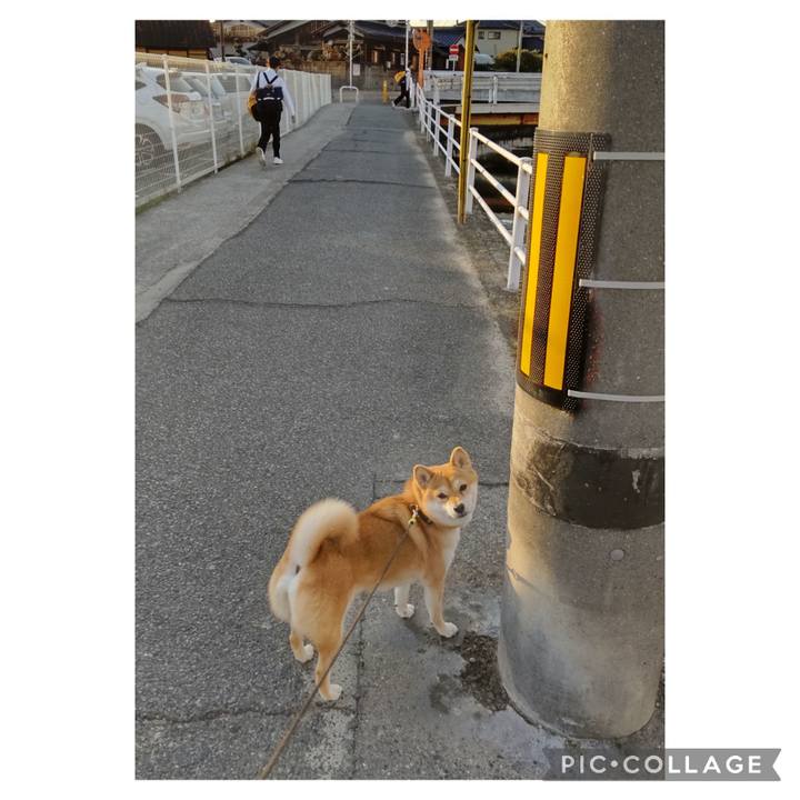 7b37bd8e 89ef 42cd 8b9b 23cbfdec312f 1698278538610