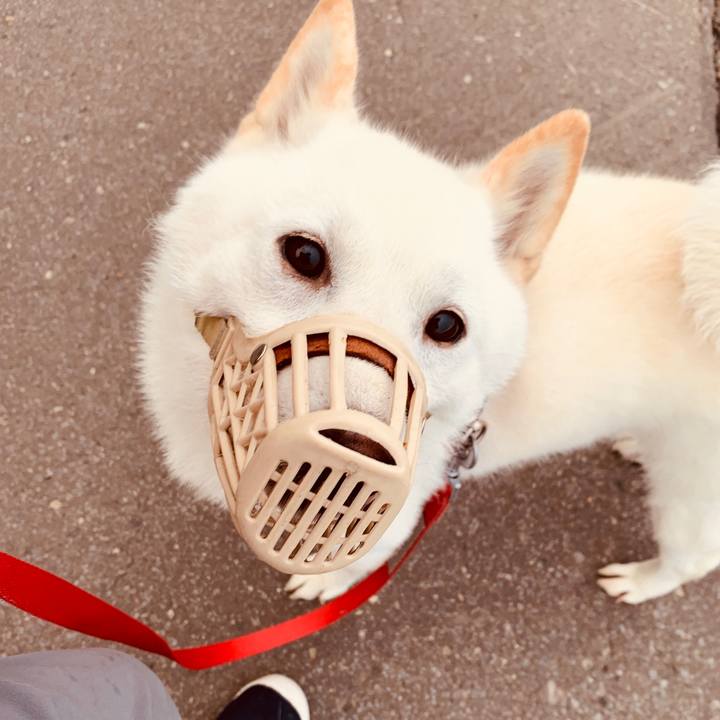 7b380067 2d1d 4a1e a565 900dd3132130 1563140114006