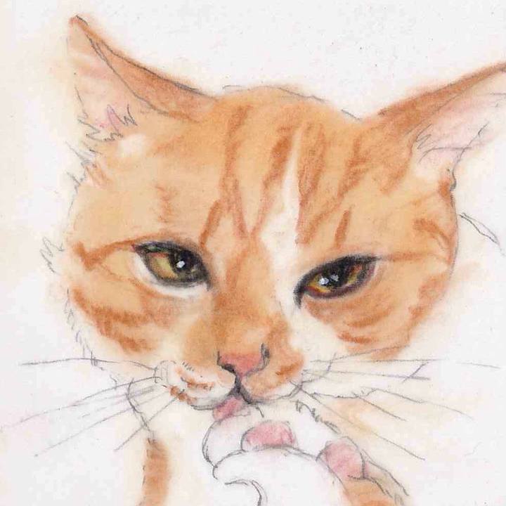 7b383131 2e04 47a0 bb41 a6f056142bd0 1658972962148