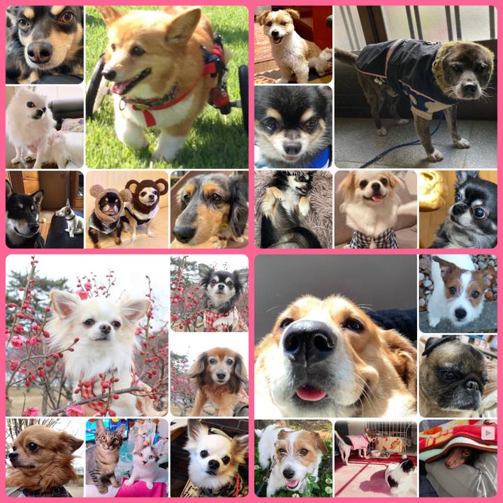 7b383864 3d3b 456e 985d f52713e13ce5 1676758807781