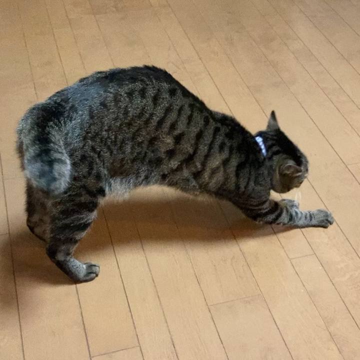 7b384e81 5912 467b 805a 7a8440180988 1618765599681