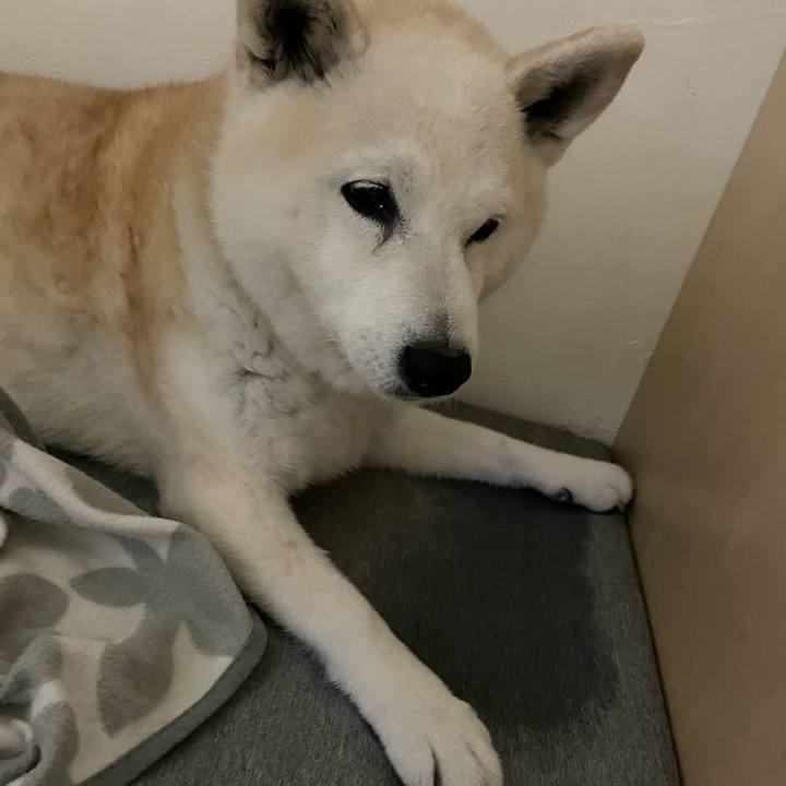 7b387994 a4c1 4380 aa7b 5a09d6f56d08 1652135708582