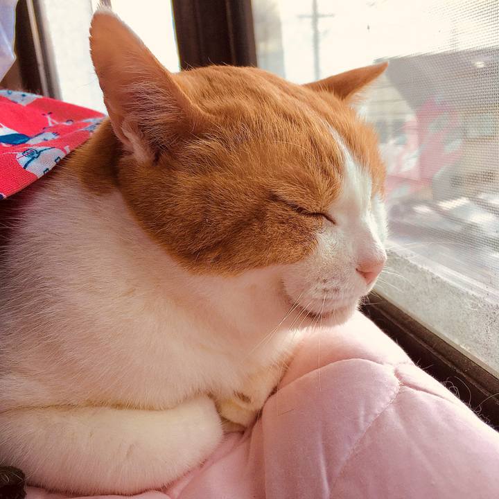 7b38cf00 fb3e 4395 986a 327db37bc6ef 1580287997196