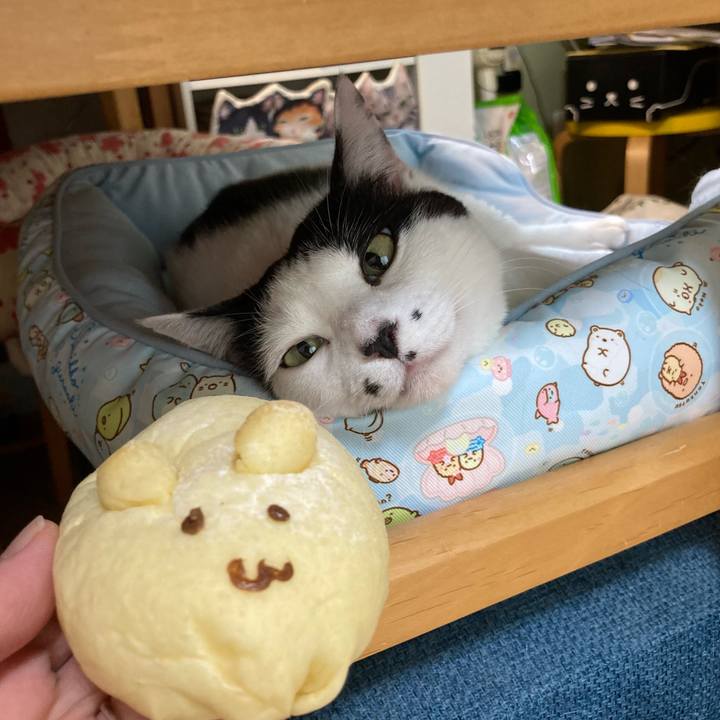 7b38d3c3 b1d6 4e08 9b0e 3034867b178c 1758409854095