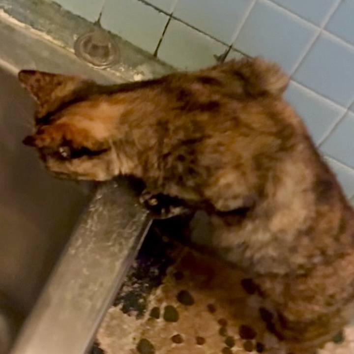 7b390105 590c 486d bb56 e5ae288f537b 1752785714854