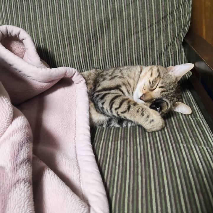 7b390181 a2d5 4918 a449 9ab00ad24011 1582634572957