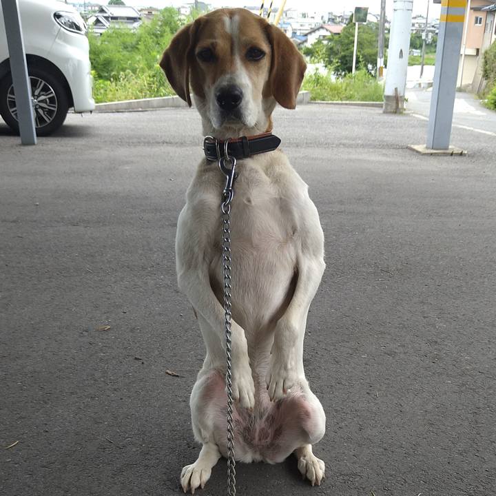 7b3916cf 4c4c 42d2 b4fc 04488ce06e23 1625552008586