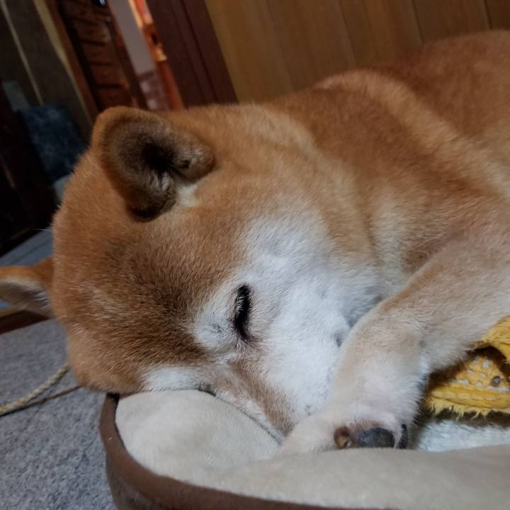 7b3978c0 dde1 4e59 9cda 0a4df31f7d2d 1599735734651