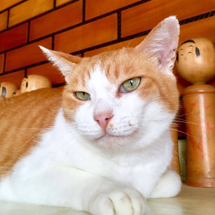 7b399aed 7969 4d41 969a ff4b1e52406e 1569900674996