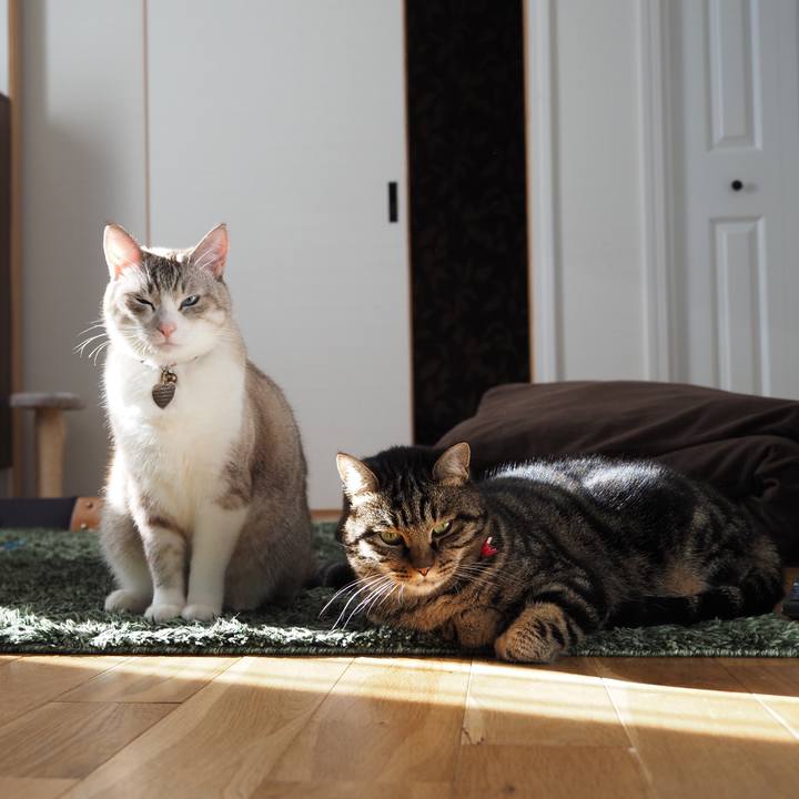 7b399d92 6fb4 4ad8 8a83 332ab3581df8 1607906116068