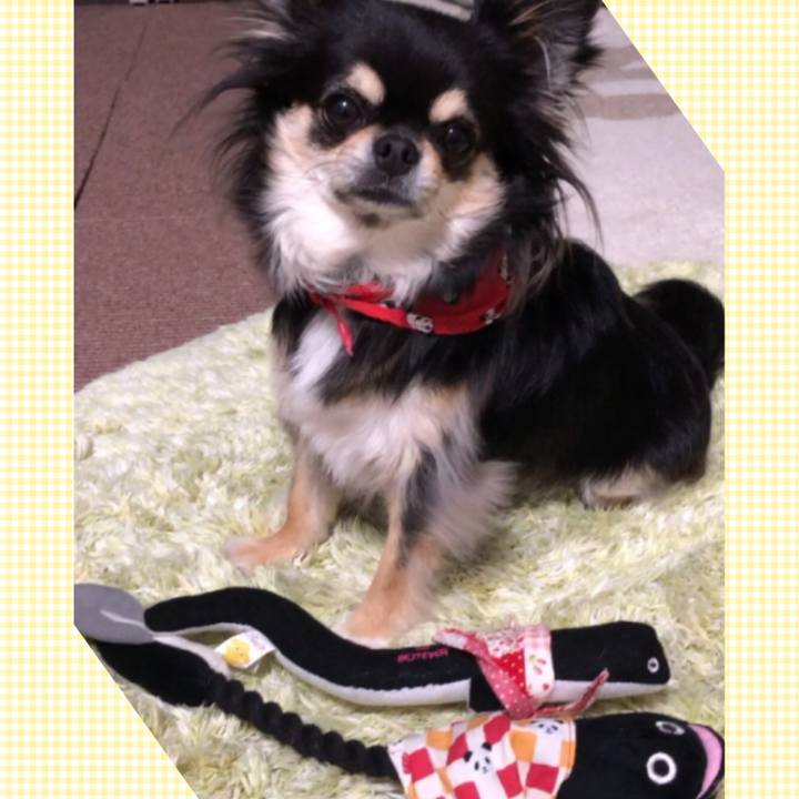 7b39d99a 276c 44ab 9e8b 55b99c102523 1592604313018