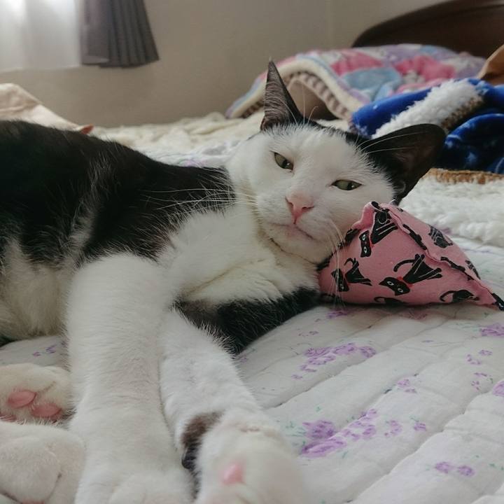 7b3a2ed0 a6b7 4b5d 8e7e c745d013f713 1531535156873