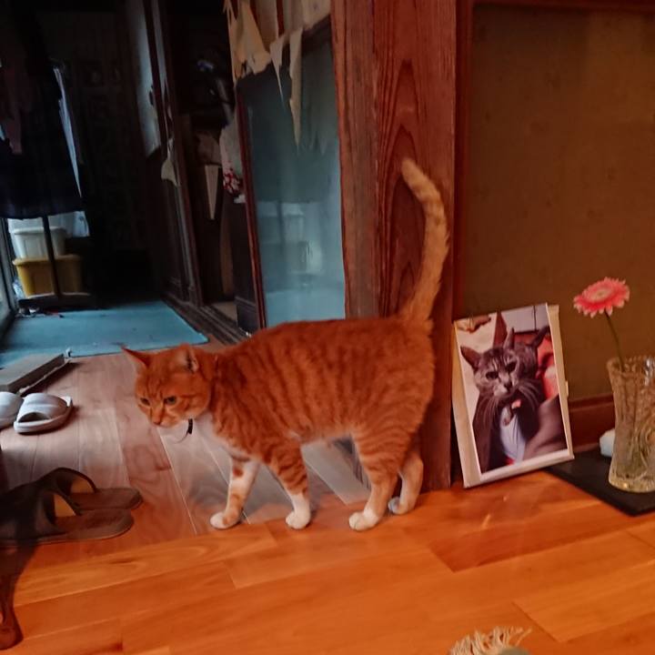 7b3a529f 0a79 4c09 8e7c e8779cf4f472 1600850380820