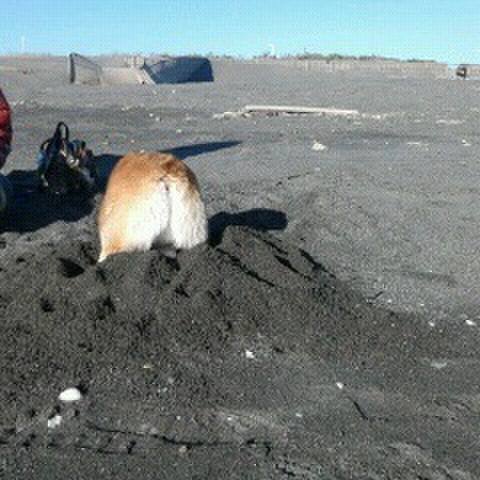 7b3a5c11 fd54 44b2 8840 16477c83b252 1532487869068