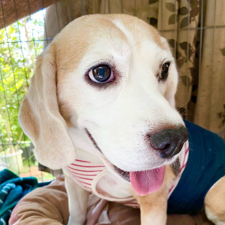 7b3a9666 20e3 4782 923b 378df601d010 1632111421451