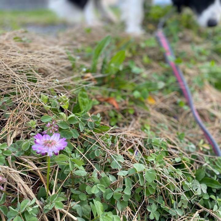 7b3ac0f7 c56c 47df 868e 6af2a690d1eb 1615246665371