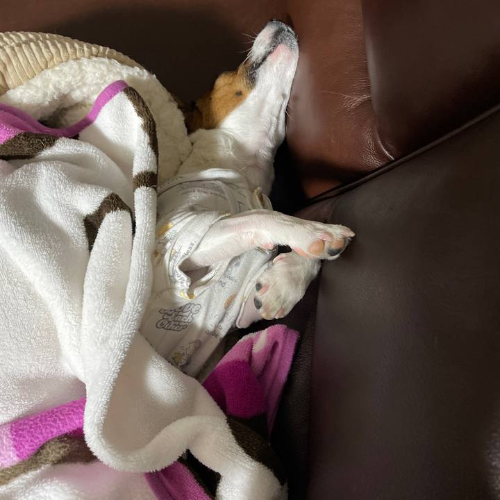 7b3afc19 6370 4fa6 a44a 883851da3f99 1648467091450