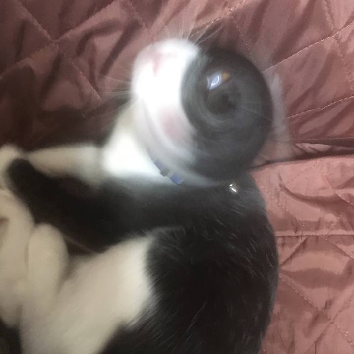 7b3b286d 1cde 4ab6 ad21 7ba635c8f858 1508567598757