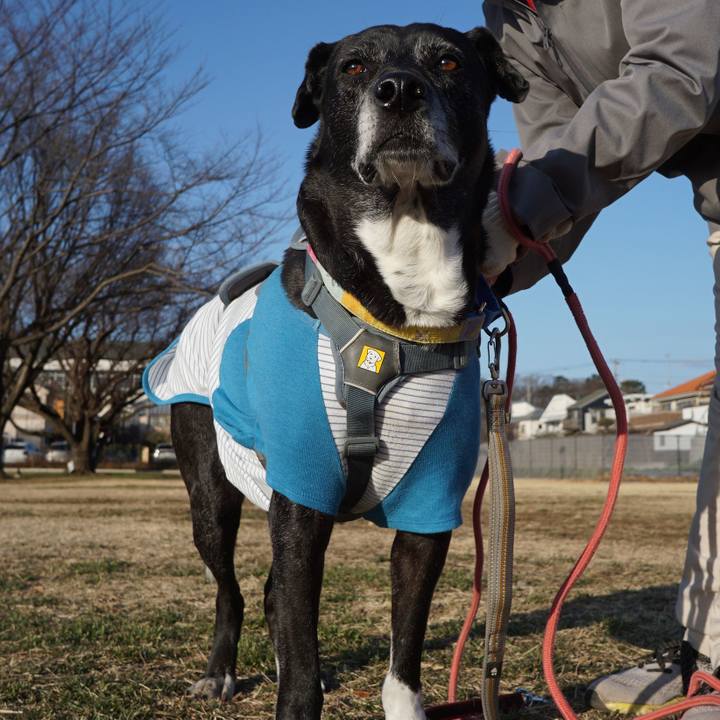 7b3b81e9 e9ce 44aa 8c7b 42441edc0b75 1768698532863