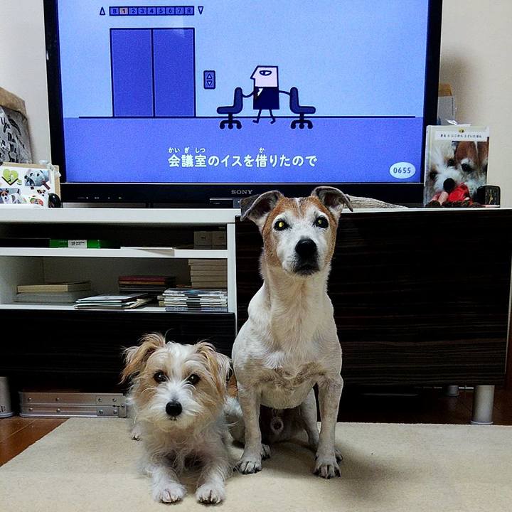 7b3baeca d060 4a25 99f3 eda24fb4b2c0 1574201567182