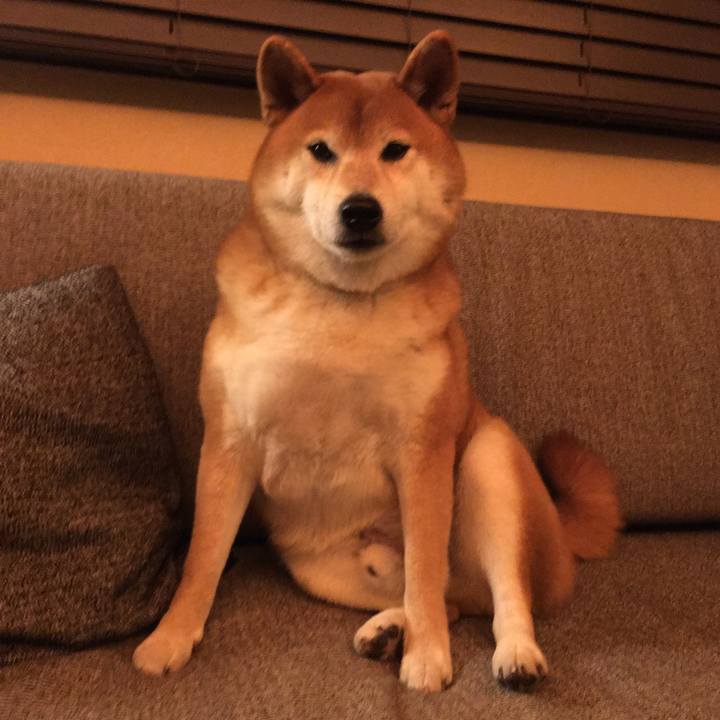 7b3bfabc 281a 439a bc28 7a1a5b12dce6 1605360656983