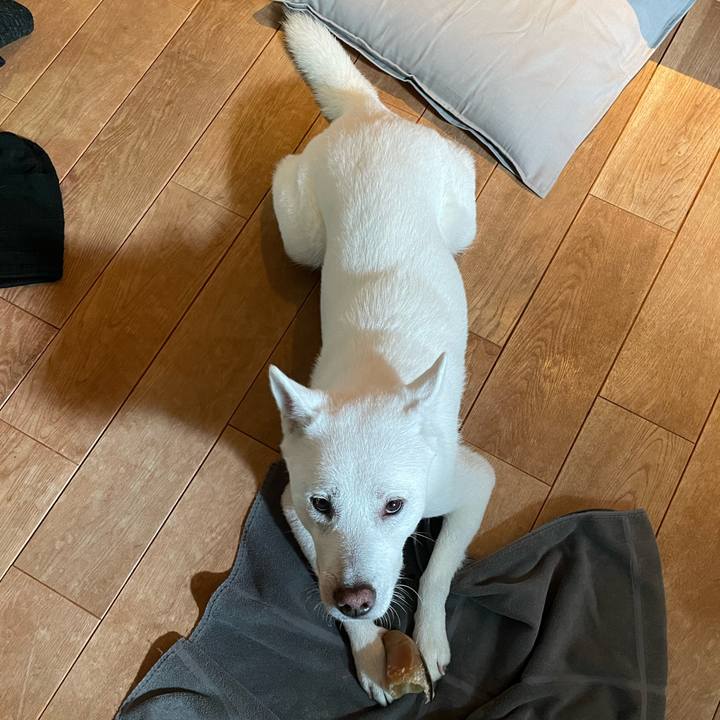 7b3bfe26 2168 4397 bbd2 3dbf94f83f64 1637843737648