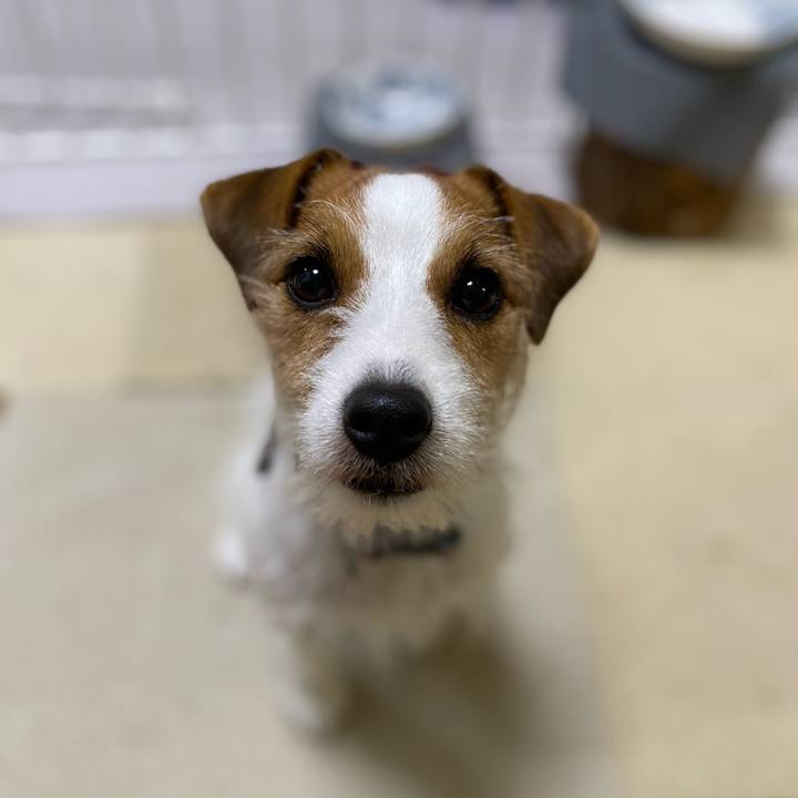 7b3c0104 b5f0 466e 946e 6b5dc8b7dfa7 1669761819685