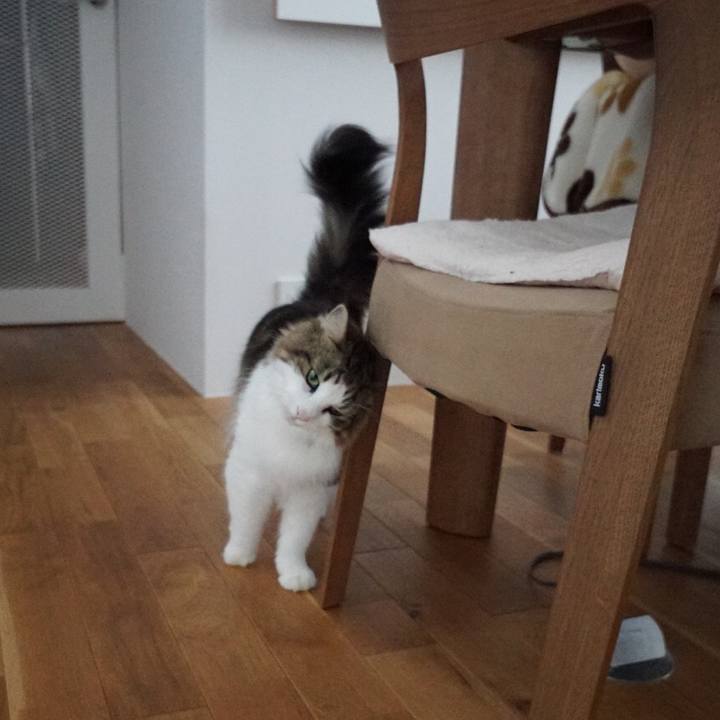 7b3c34bb 89f5 4f3d a9e9 ab02dd477ad0 1607330430617