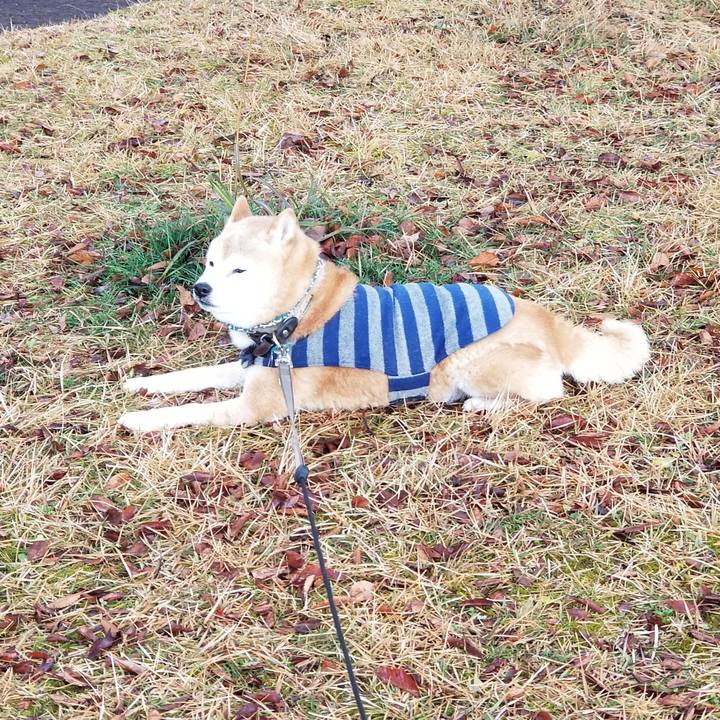 7b3c34e2 89e2 470c b447 2b94b17c25cf 1702362809845