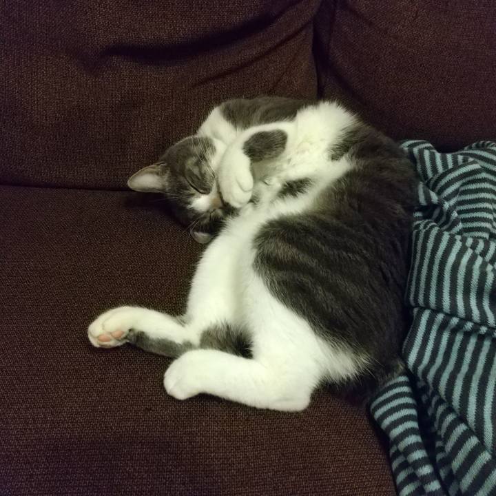 7b3c5f14 c134 4ab4 9a8e 54c60eee266b 1607246797311