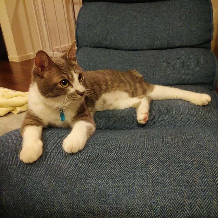 7b3c64ae 64d8 4829 bca2 b53abe9b7e65 1589884178752