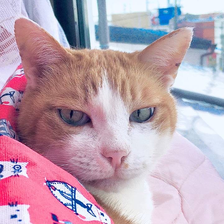 7b3c6c0f c1a0 437a 9f15 d84fe0cc7a3f 1580870903938