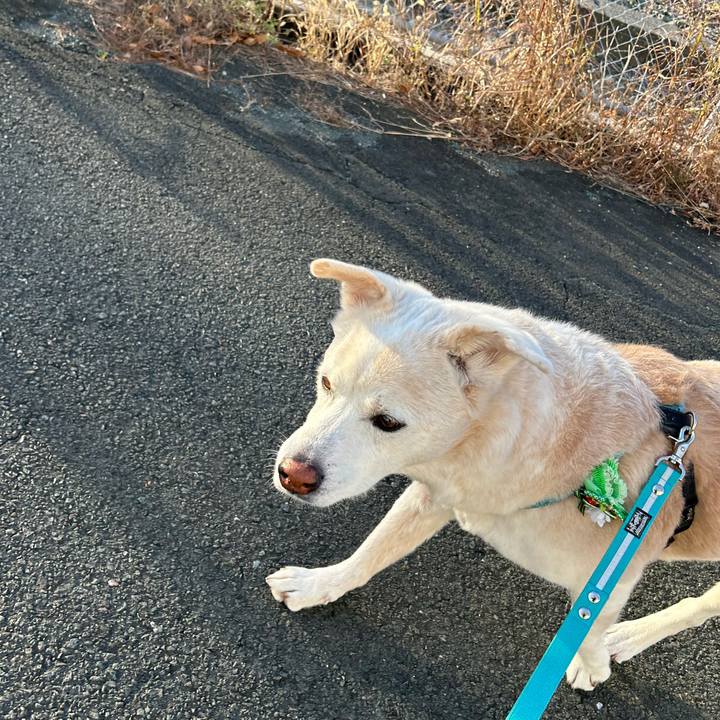 7b3c7d50 454f 46da 9ea7 31bb4ae3f913 1767139803397