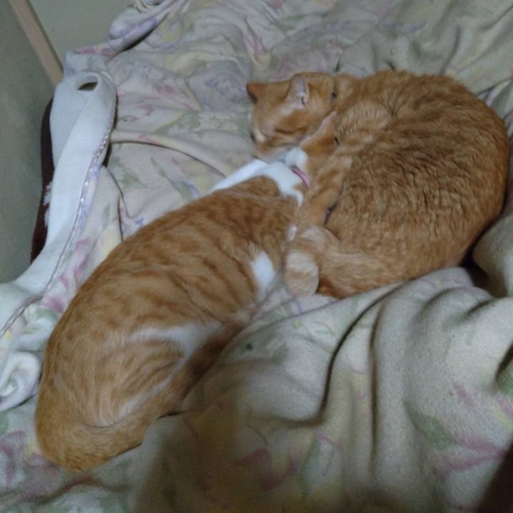 7b3c8f9b 88d3 4fcd b42b dcf1287f6239 1741960457867