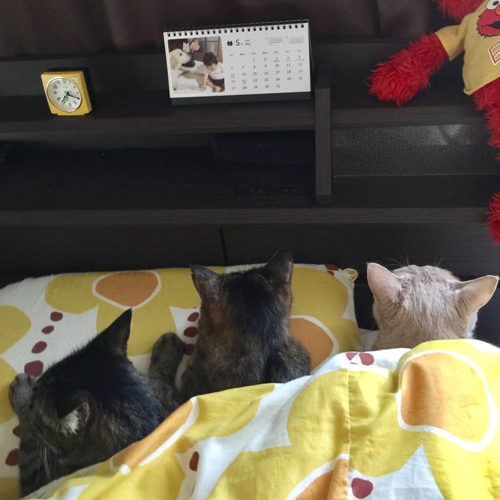 7b3ce6e9 8759 41f9 a9e9 0a800d9243e7 1526856372144