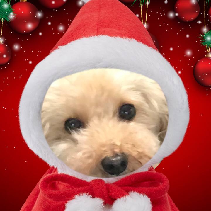 7b3d205b 08a8 4754 bda6 25197c8bc6bd 1509190114977