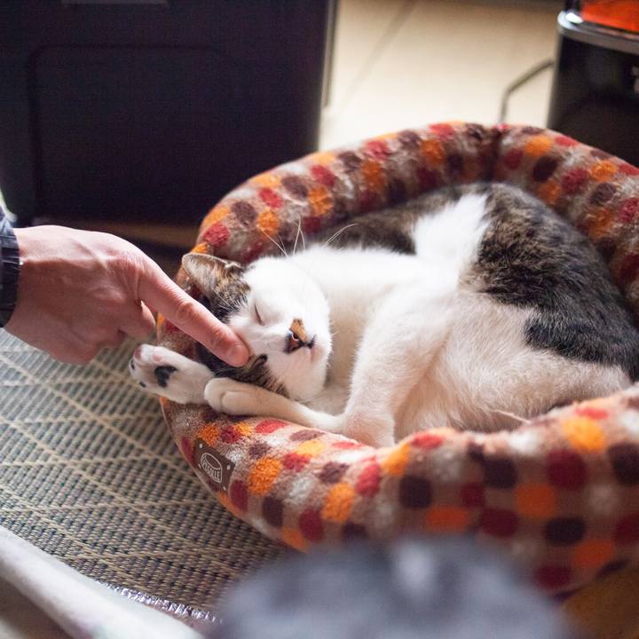 7b3d2914 585b 4d7f a788 83c3d1d8480e 1548418082598