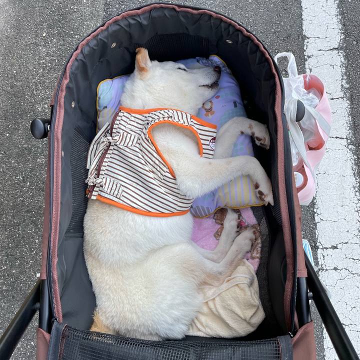 7b3d4dce 017b 4a05 9d6f b7eebdaad827 1656251486434